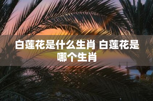 白莲花是什么生肖 白莲花是哪个生肖