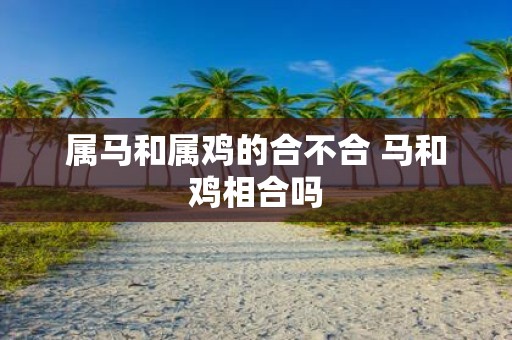 属马和属鸡的合不合 马和鸡相合吗