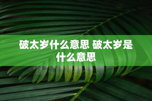 破太岁什么意思 破太岁是什么意思