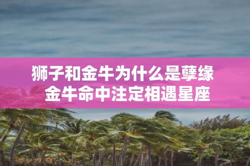 狮子和金牛为什么是孽缘 金牛命中注定相遇星座
