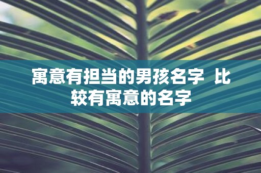 寓意有担当的男孩名字 比较有寓意的名字