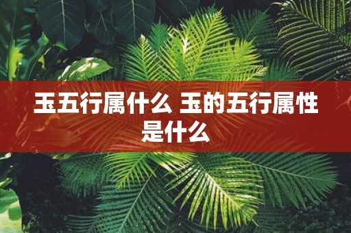 玉五行属什么 玉的五行属性是什么
