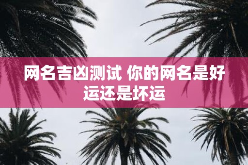 网名吉凶测试 你的网名是好运还是坏运