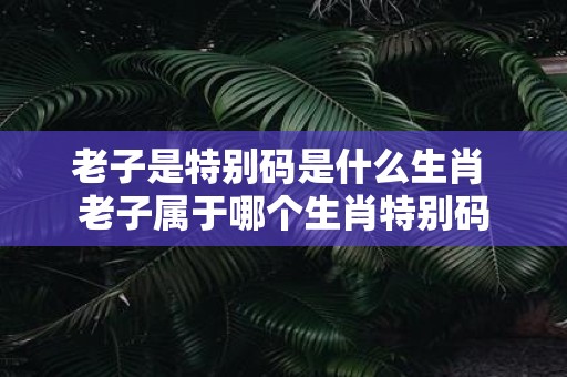 老子是特别码是什么生肖 老子属于哪个生肖特别码