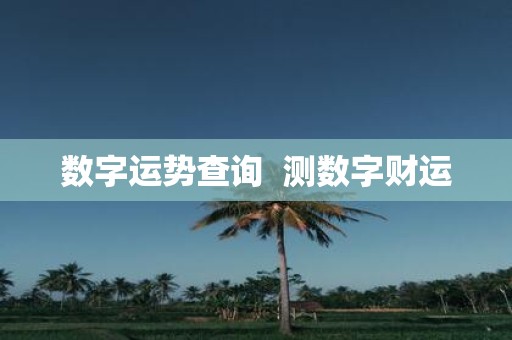 数字运势查询 测数字财运