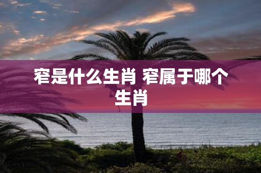 窄是什么生肖 窄属于哪个生肖