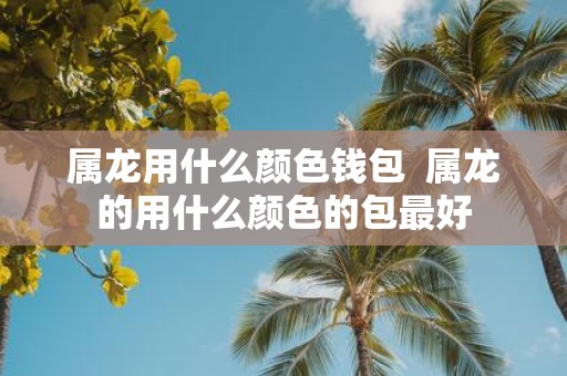属龙用什么颜色钱包 属龙的用什么颜色的包最好