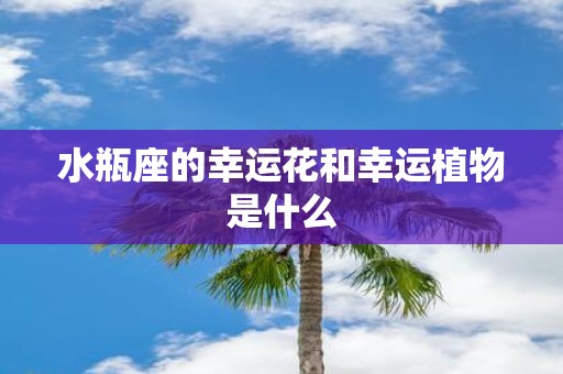 水瓶座的幸运花和幸运植物是什么