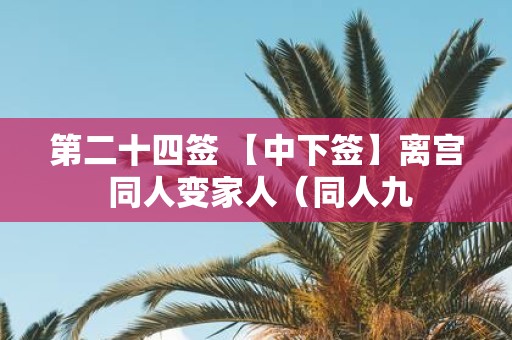 第二十四签 【中下签】离宫 同人变家人（同人九