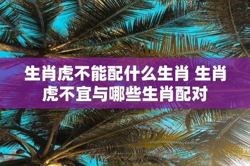 生肖虎不能配什么生肖 生肖虎不宜与哪些生肖配对