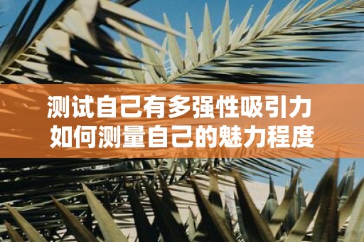 测试自己有多强性吸引力 如何测量自己的魅力程度