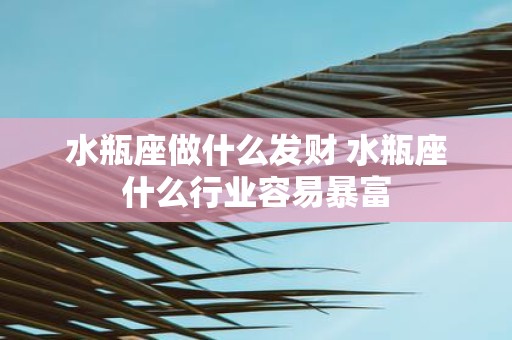 水瓶座做什么发财 水瓶座什么行业容易暴富