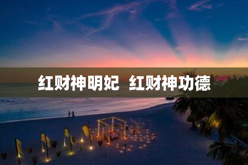 红财神明妃 红财神功德