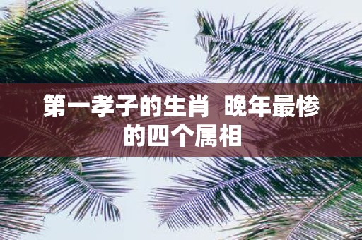 第一孝子的生肖 晚年最惨的四个属相