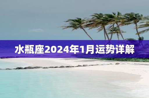 水瓶座2025年1月运势详解