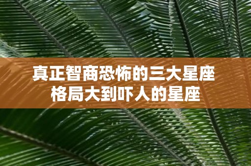 真正智商恐怖的三大星座 格局大到吓人的星座