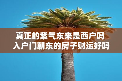 真正的紫气东来是西户吗 入户门朝东的房子财运好吗