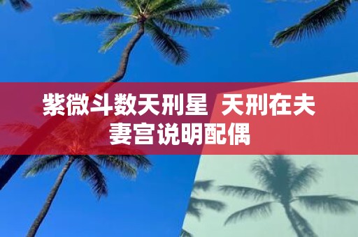 紫微斗数天刑星 天刑在夫妻宫说明配偶