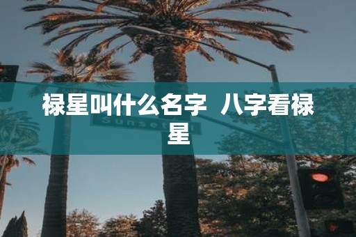 禄星叫什么名字 八字看禄星