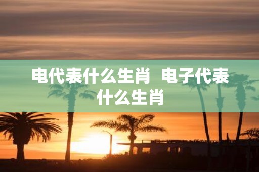 电代表什么生肖 电子代表什么生肖