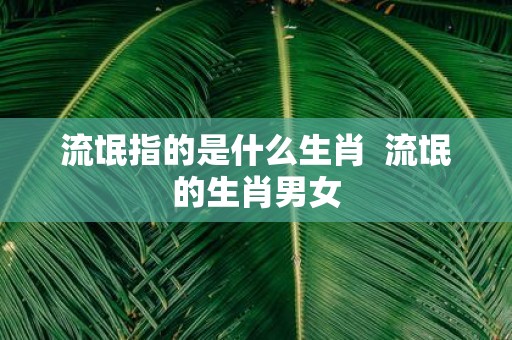 流氓指的是什么生肖 流氓的生肖男女