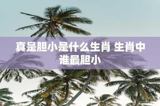 真是胆小是什么生肖 生肖中谁最胆小