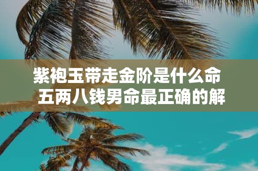 紫袍玉带走金阶是什么命 五两八钱男命最正确的解释是