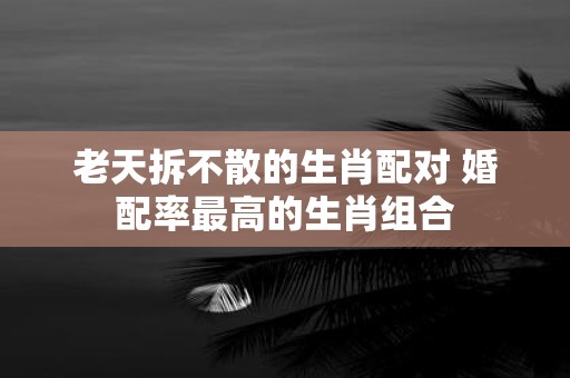 老天拆不散的生肖配对 婚配率最高的生肖组合