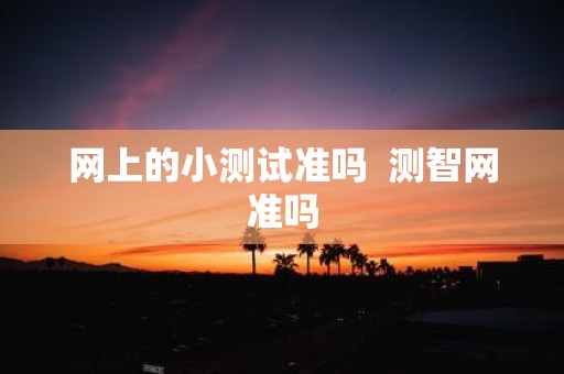 网上的小测试准吗 测智网准吗