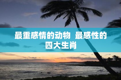最重感情的动物 最感性的四大生肖