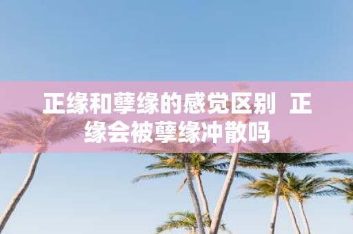 正缘和孽缘的感觉区别 正缘会被孽缘冲散吗
