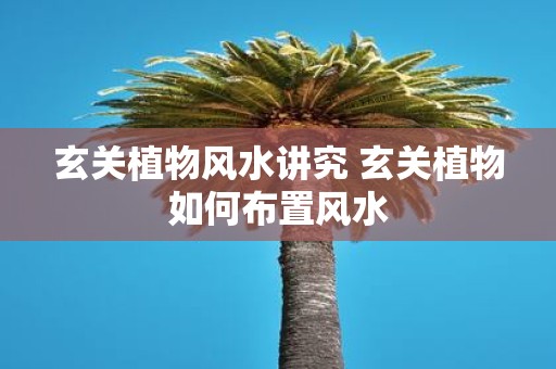 玄关植物风水讲究 玄关植物如何布置风水