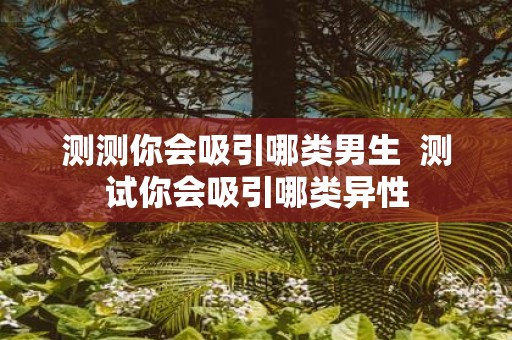 测测你会吸引哪类男生 测试你会吸引哪类异性