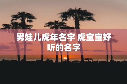 男娃儿虎年名字 虎宝宝好听的名字