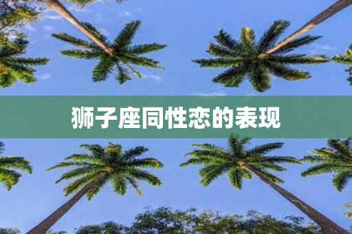 狮子座同性恋的表现