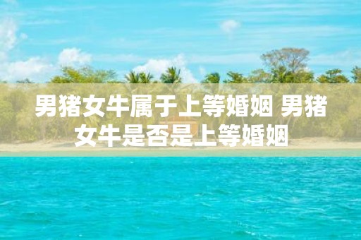 男猪女牛属于上等婚姻 男猪女牛是否是上等婚姻