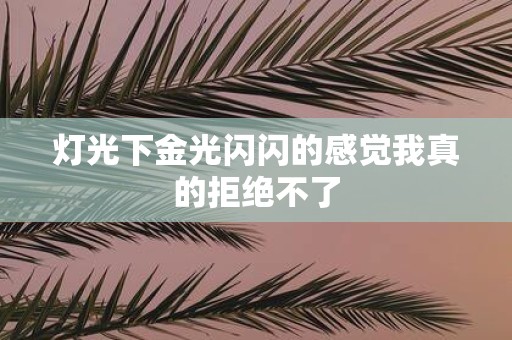灯光下金光闪闪的感觉我真的拒绝不了