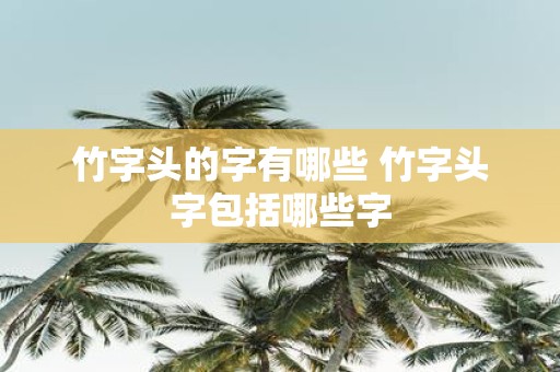 竹字头的字有哪些 竹字头字包括哪些字