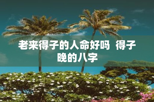 老来得子的人命好吗 得子晚的八字