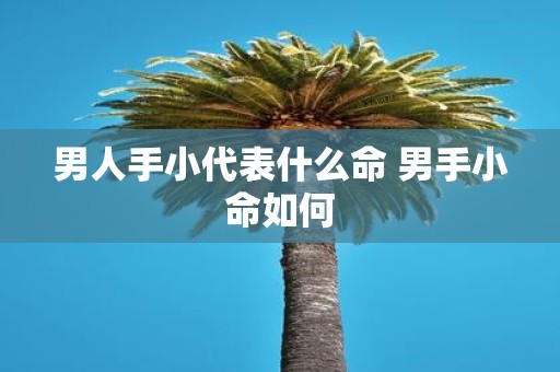 男人手小代表什么命 男手小命如何