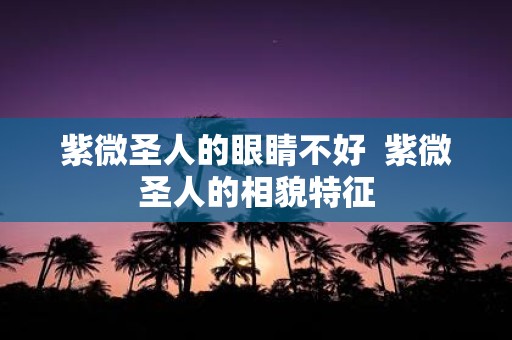 紫微圣人的眼睛不好 紫微圣人的相貌特征