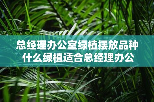 总经理办公室绿植摆放品种 什么绿植适合总经理办公室
