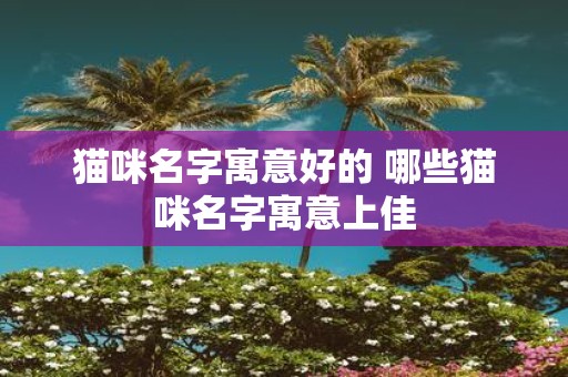 猫咪名字寓意好的 哪些猫咪名字寓意上佳