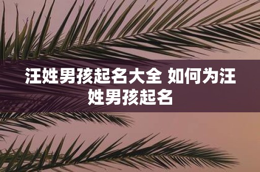 汪姓男孩起名大全 如何为汪姓男孩起名