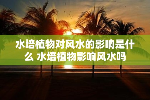 水培植物对风水的影响是什么 水培植物影响风水吗
