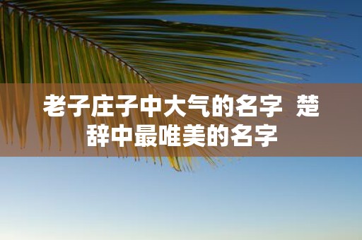老子庄子中大气的名字 楚辞中最唯美的名字