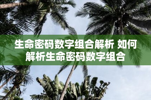 生命密码数字组合解析 如何解析生命密码数字组合