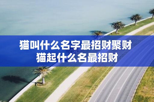 猫叫什么名字最招财聚财 猫起什么名最招财