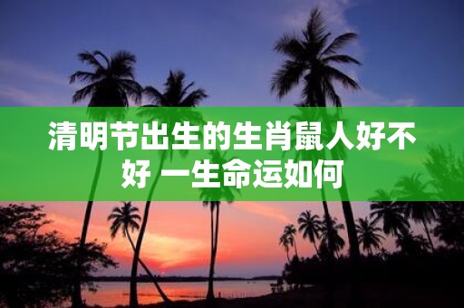 清明节出生的生肖鼠人好不好 一生命运如何
