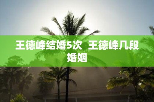 王德峰结婚5次 王德峰几段婚姻